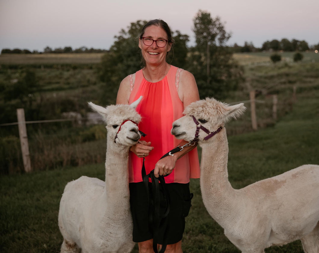 Alpaca Walks